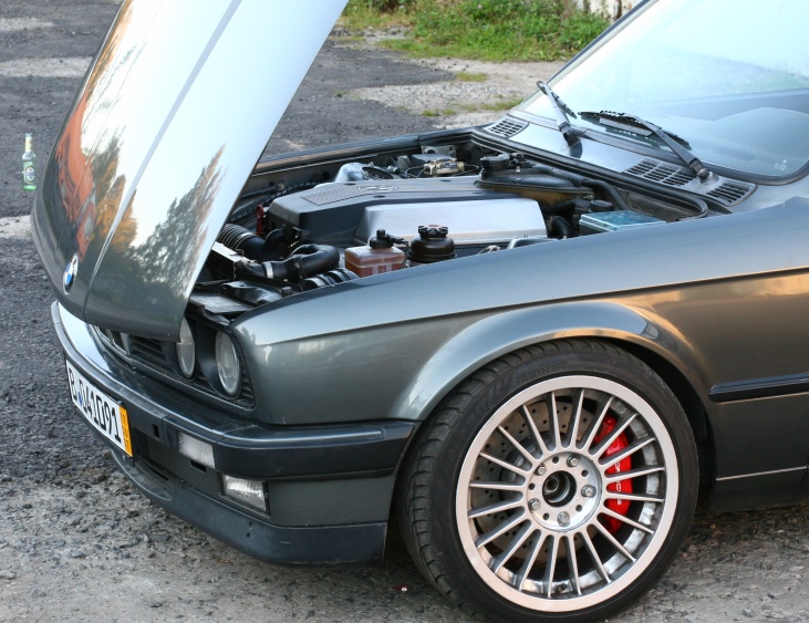 V8001